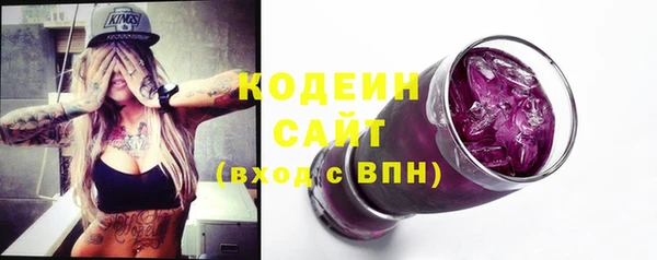 хмурый Сосновка