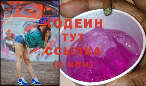 хмурый Сосновка