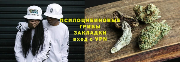 хмурый Сосновка