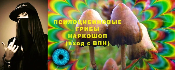 бошки Сосновый Бор